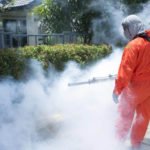 Why Is Pest Control So Much Important?