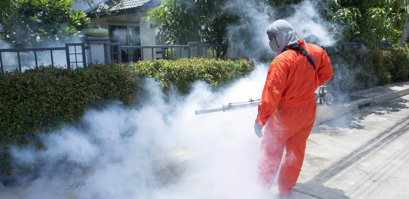 Why Is Pest Control So Much Important?