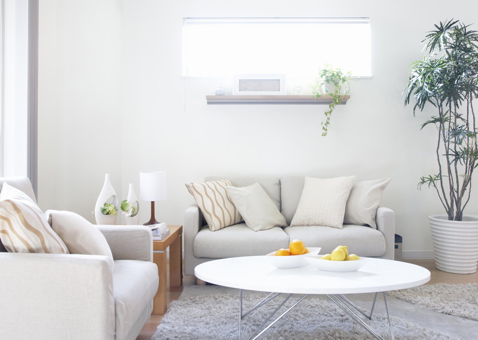 Things To Do Before The Professional Carpet Cleaners Arrive