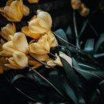 Want To Send Your Condolences With Sympathy Flowers In Singapore