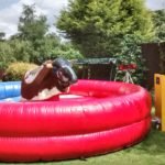 How To Protect Yourself When Riding The Mechanical Bull?