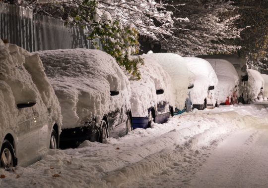 Winterizing Advice That’s Not for the Birds