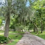 Tips And Tricks To Make Your Garden Greener, Lusher