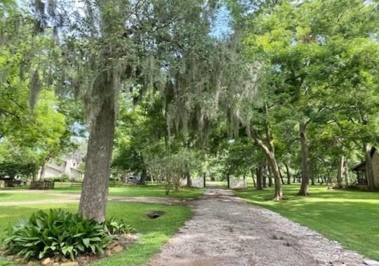 Tips And Tricks To Make Your Garden Greener, Lusher