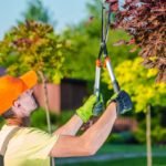 Superb Tips Help To Hire The Most Suitable Tree Surgeons