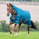What Is A Turnout Rug And How Does It Benefit Your Horse?